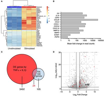 The Rheumatoid Arthritis Risk Gene AIRE Is Induced by Cytokines in Fibroblast-Like Synoviocytes and Augments the Pro-inflammatory Response